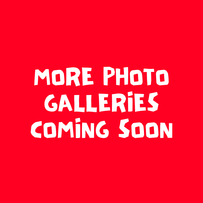 Monster in the Making - Flint